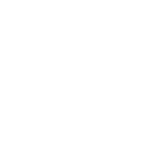 White-Westinghouse